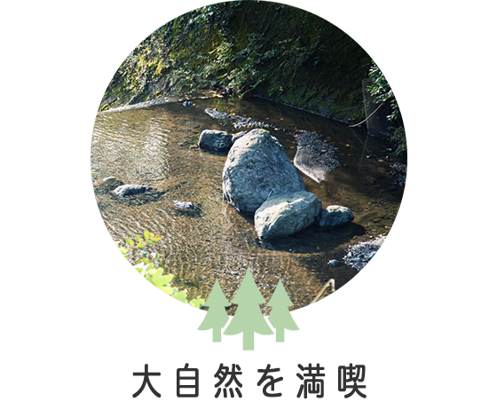 五番地